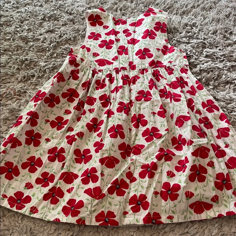 Vintage 2003 Gymboree “Poppies” Poppy Dress, Size 5
